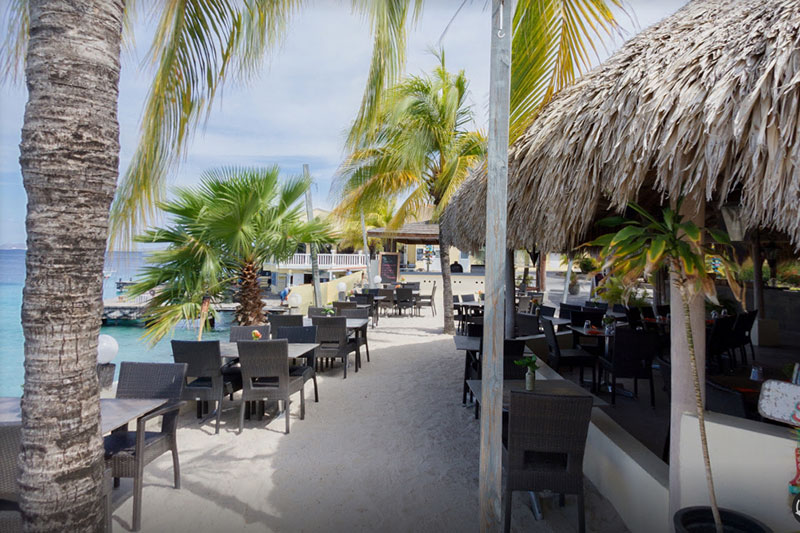 Blennies-bonaire-news-1
